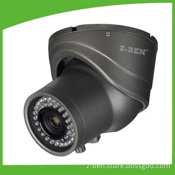 Varifocal Dome IR Camera with 1/3-inch Color Sony Super HAD II CCD and 700TVL Horizontal Resolution